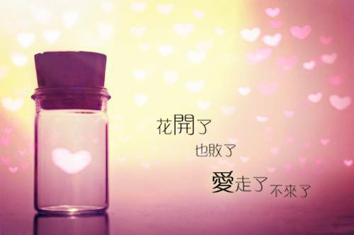 宁檬聿晋衍免费阅读 宁檬聿晋衍最新章节目录