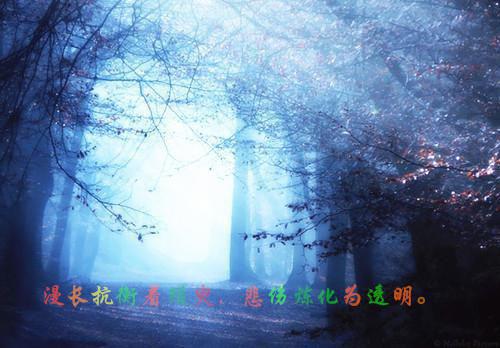 陈钰阮清晏是什么小说 陈钰阮清晏全本免费阅读