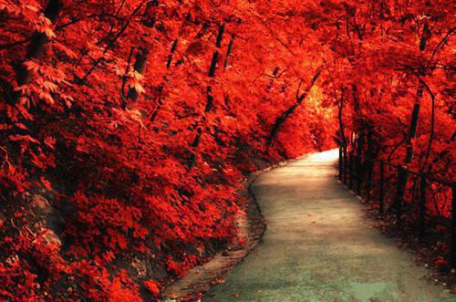 乔若心墨琛 乔若心墨琛小说免费阅读