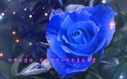 张平周彤小说 张平周彤免费全文阅读