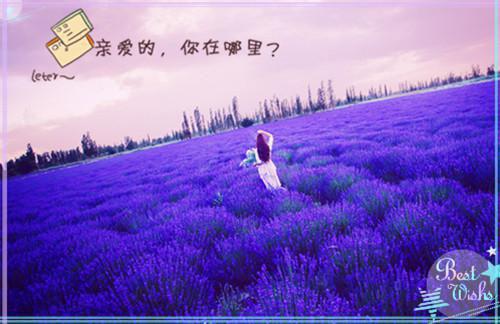 张禹沈金华哪里可以看 张禹沈金华免费阅读第2章