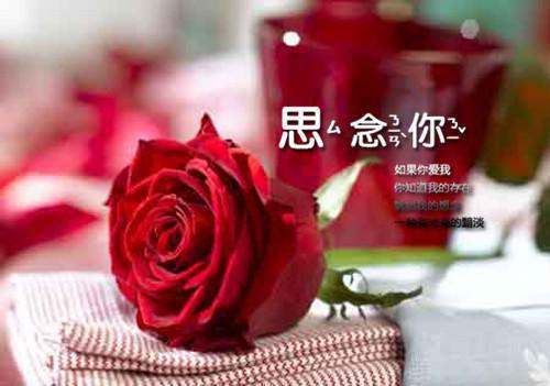 程建南林心怡免费全本小说 程建南林心怡章节目录