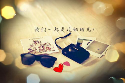 夏晚棠顾司瑾小说阅读 夏晚棠顾司瑾全文免费无广告