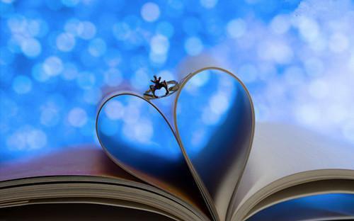 林言沈瑶李逸小说章节免费阅读 林言沈瑶李逸无弹窗