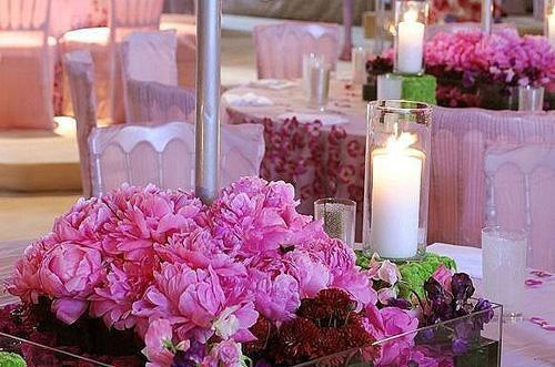 楚星云秦铭是什么小说 楚星云秦铭全本免费阅读