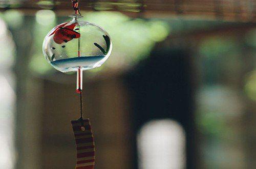 难敌情深似海全文阅读 (陈默叶昭昭)小说无弹窗广告