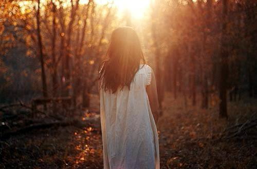 警官是什么书 警官免费章节在线阅读