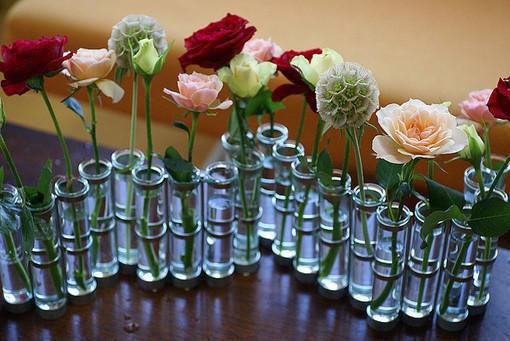 孟宁娇杜数舟免费小说 孟宁娇杜数舟完结版在线阅读