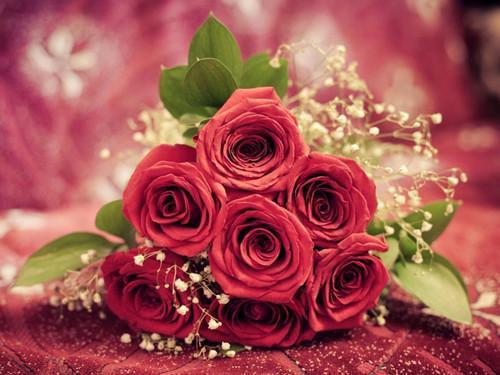 池晚霍司寒免费阅读小说 池晚霍司寒第14章