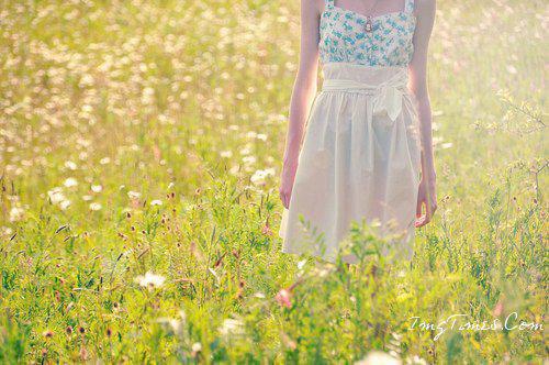 公孙珑嬴政小说阅读 公孙珑嬴政全文免费无广告