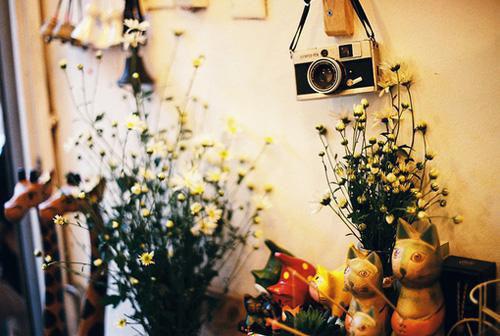 萧冉陆辰姜川小说全文免费阅读 萧冉陆辰姜川最新章节