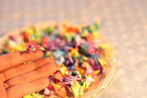 苏风小说 苏风完整版免费阅读