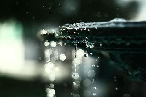 陆时彰慕舒月小说全文（慕舒月陆时彰）精选免费小说_陆时彰慕舒月小说全文最新章节列表