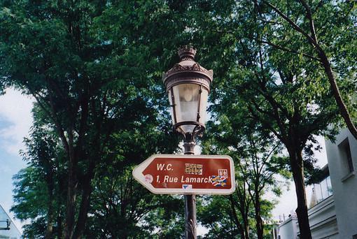 不空军的小说无地自容程明老金全文在线阅读