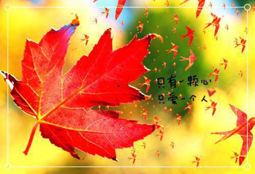 方絮笙周敬年全文免费阅读_（周敬年方絮笙免费阅读无弹窗）方絮笙周敬年高赞小说阅读