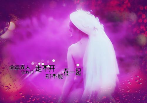 许承衍姜苒陆怀川全文免费 许承衍姜苒陆怀川在线阅读