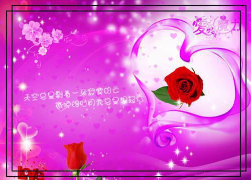 主角尤盛白颐恬小说免费阅读最新章节