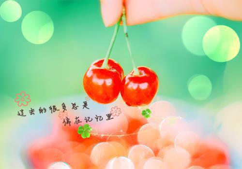 我和闺蜜穿成小说中的炮灰，在白月光即将回来白慕雅林悠悠秦时泽完结小说全文在线阅读