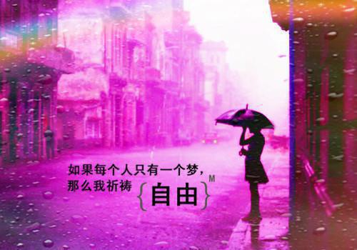 主角薛灵嫣顾松埜小说免费阅读最新章节