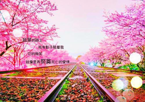 公孙懿嬴政（嬴政公孙懿）全文免费阅读无弹窗大结局_公孙懿嬴政最新章节列表