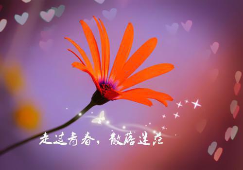 (抖音小说)林曼裴念陆今安免费阅读第1章