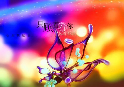 江映荷王枫免费阅读小说 江映荷王枫第一章