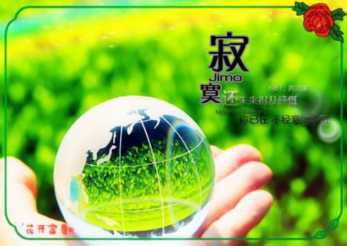 溶月孟行止全文免费 溶月孟行止在线阅读