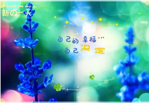 成婚五年，她倾尽所有，却始终焐不热他的心小说结局在线阅读 沈沅陆辰宋妗章节列表