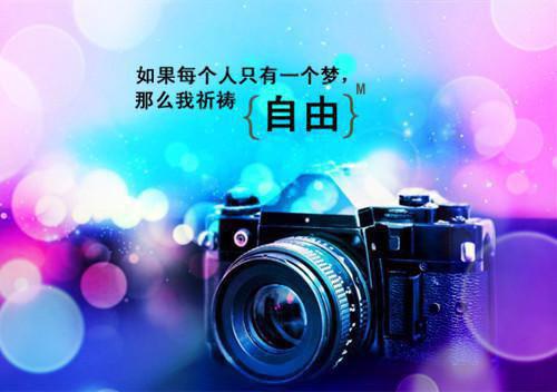 蓝鸢沈霁小说免费试读 蓝鸢沈霁第三章