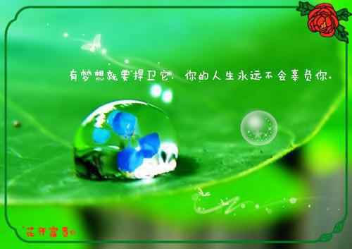 太子妃今天作了吗在线免费阅读 (红鸾)小说无弹窗广告