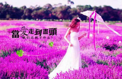 宋清瑶陆深小说最后结局 宋清瑶陆深完结版免费阅读