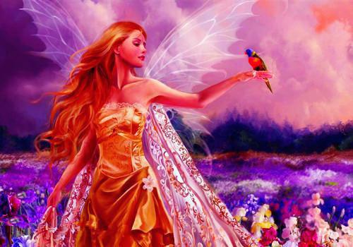 交换杀手 主角林慰佳林绍宇小说