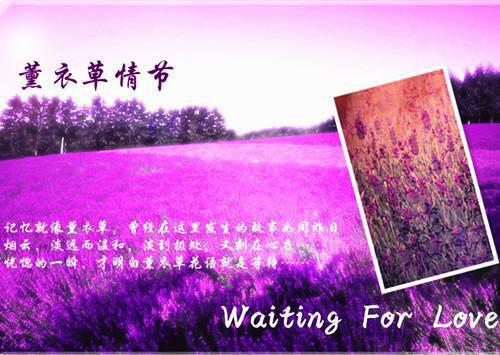 南黎陆北呈小说章节免费阅读 南黎陆北呈无弹窗