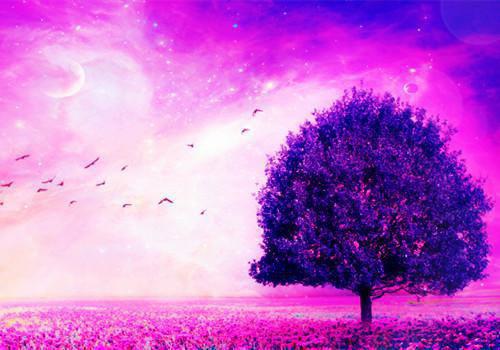 徐舒宁陆洵然小说叫什么 徐舒宁陆洵然小说全文免费阅读