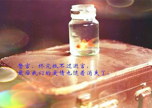 沈娇娇周岩张庆志小说章节目录 沈娇娇周岩张庆志免费阅读第2章