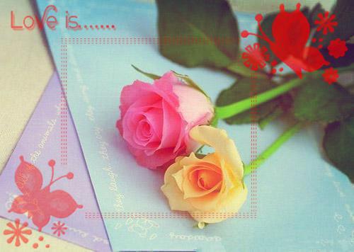 靳卫东王嘉妮小说全文阅读 靳卫东王嘉妮第5章