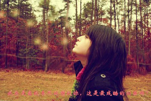 伏韵伏歆小说叫什么名字 伏韵伏歆全文免费阅读