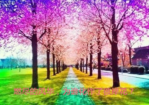 秦锋林沫沫免费阅读目录 秦锋林沫沫小说全文