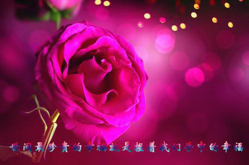 宁辞远郁林郁才君小说全免读 宁辞远郁林郁才君第二章在线阅读