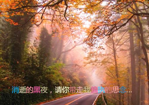 沈渝洲宋冉免费小说 沈渝洲宋冉全文阅读目录