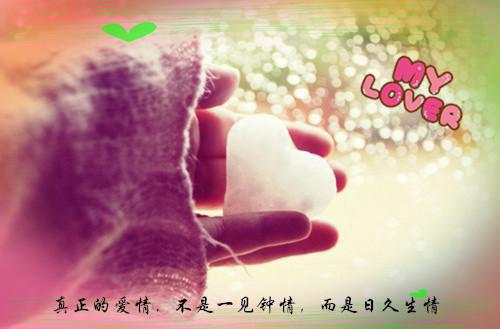 洛南栀靳寒声在线资源（我等南雁归/等不到她回头：结局+番外）全本阅读全文无删减_洛南栀靳寒声全文免费阅读无弹窗大结局（我等南雁归/等不到她回头：结局+番外）