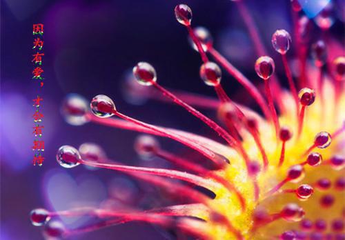 重生后，我不要白眼狼徒弟小说完整版 南宫影玉芷若沈云舒在线阅读