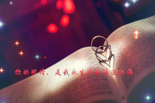 方萌陈露《你有引力》小说在线阅读