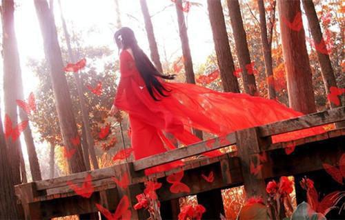 傅言陆晚晚宋凛免费小说 傅言陆晚晚宋凛在线阅读