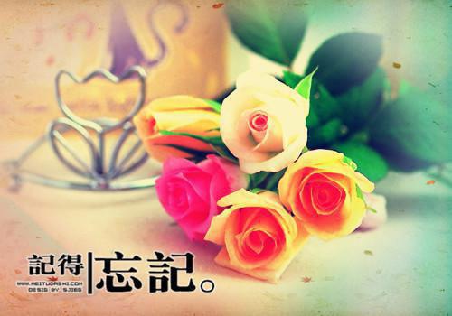 郑万飞蒋鹏是什么小说 郑万飞蒋鹏全本免费阅读