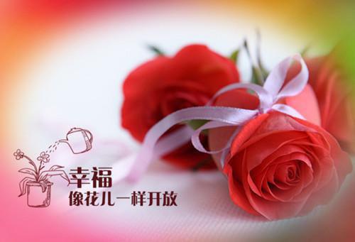 秦雨摇贺枫（秦雨摇贺枫）全文免费阅读无弹窗大结局_秦雨摇贺枫热门小说最新章节阅读