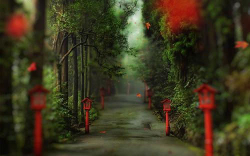 林秀和什么小说 林秀和全文免费阅读