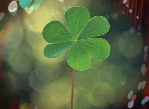 (抖音小说)裴韵然陆寒湛小说全文阅读免费