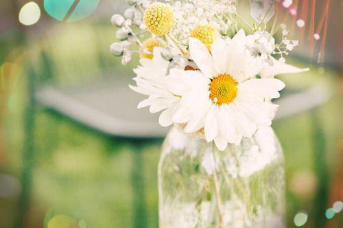 陆北川安夏小说(陆北川安夏)免费阅读无弹窗，小说名字是：陆北川安夏的小说在线阅读无删减