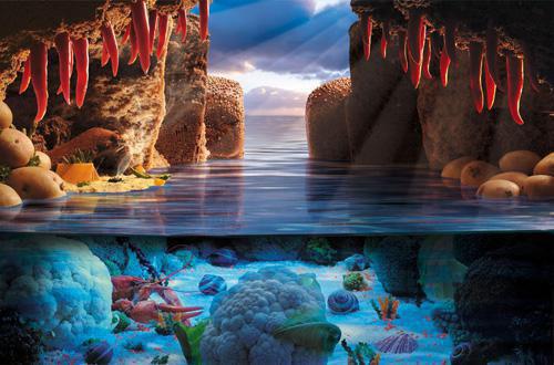 苏沐禾谢松寒免费阅读目录 苏沐禾谢松寒小说全文